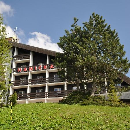 Horsky Hotel Hanicka Špindlerŭv Mlýn Exteriör bild
